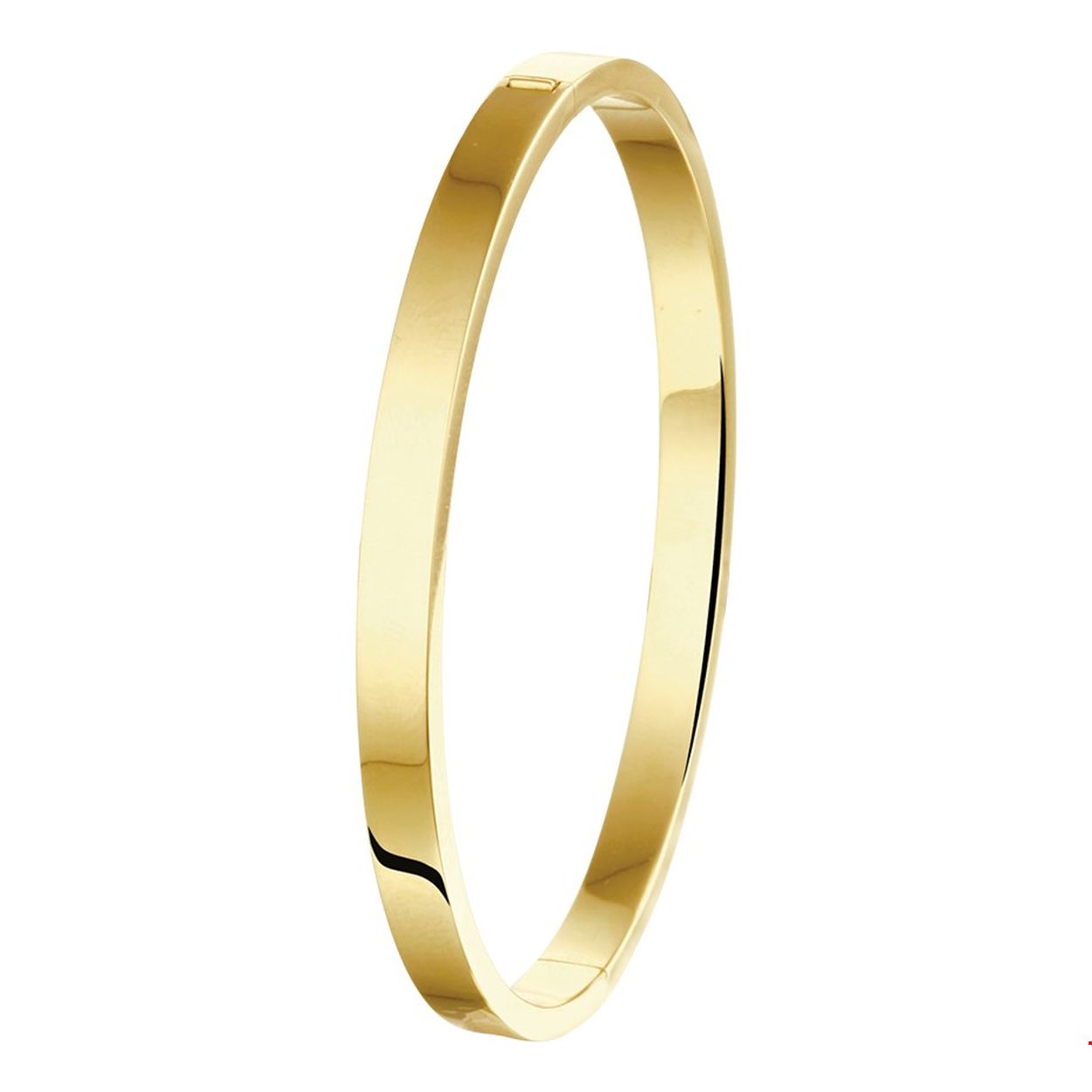 Beschrijving: Sieraden van 14 karaat goud met daarin een kern van 925 zilver. Geelgouden slavenarmband met scharnier-sluiting.
Verpakt per: 1
Doelgroep: dames
Breedte: 5 mm