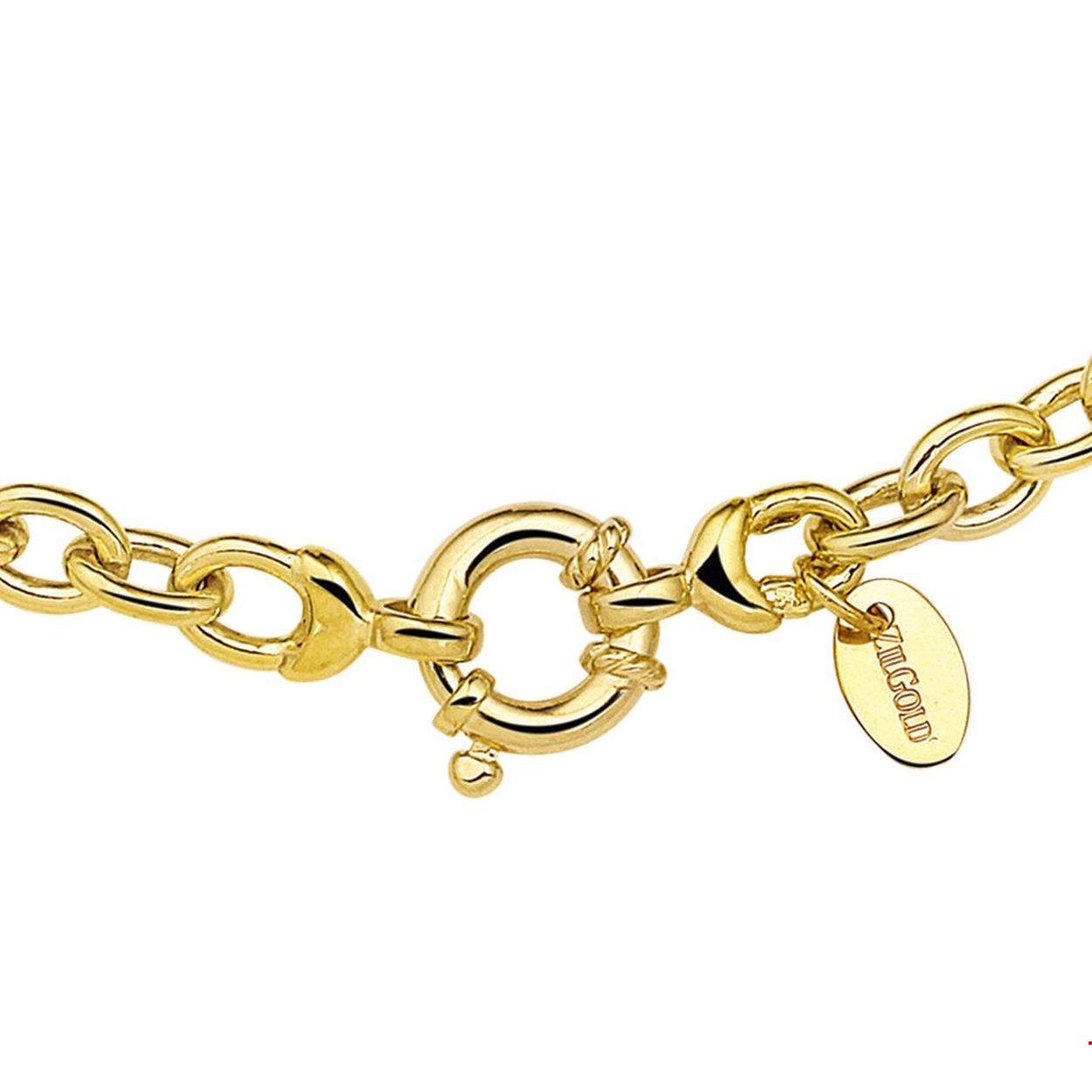 Beschrijving: Sieraden van 14 karaat goud met daarin een kern van 925 zilver. Geelgouden collier met anker schakel. 
Doelgroep: dames
Breedte: 6 mm
Langste lengte: 45 mm