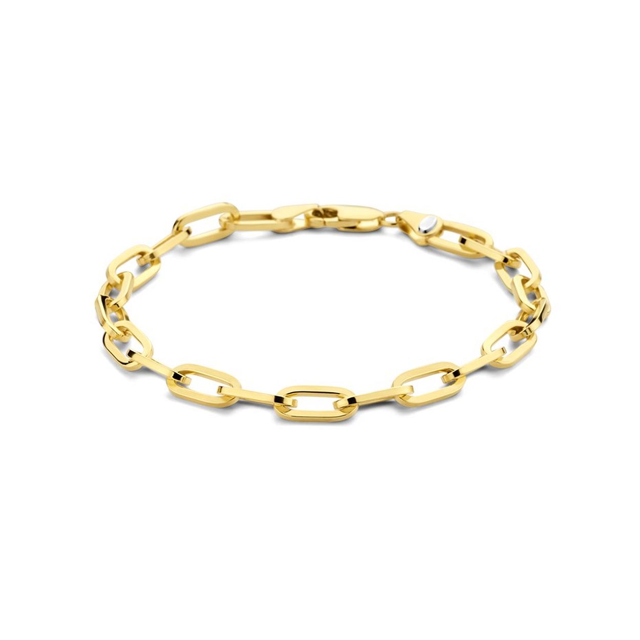 14k Geelgouden armband met daarin een kern van 925 zilver. De armband is uitgevoerd met een paperclip schakel met een breedte van 5mm. De armband heeft een draaglengte van 19cm en een stevige karabijn sluiting.