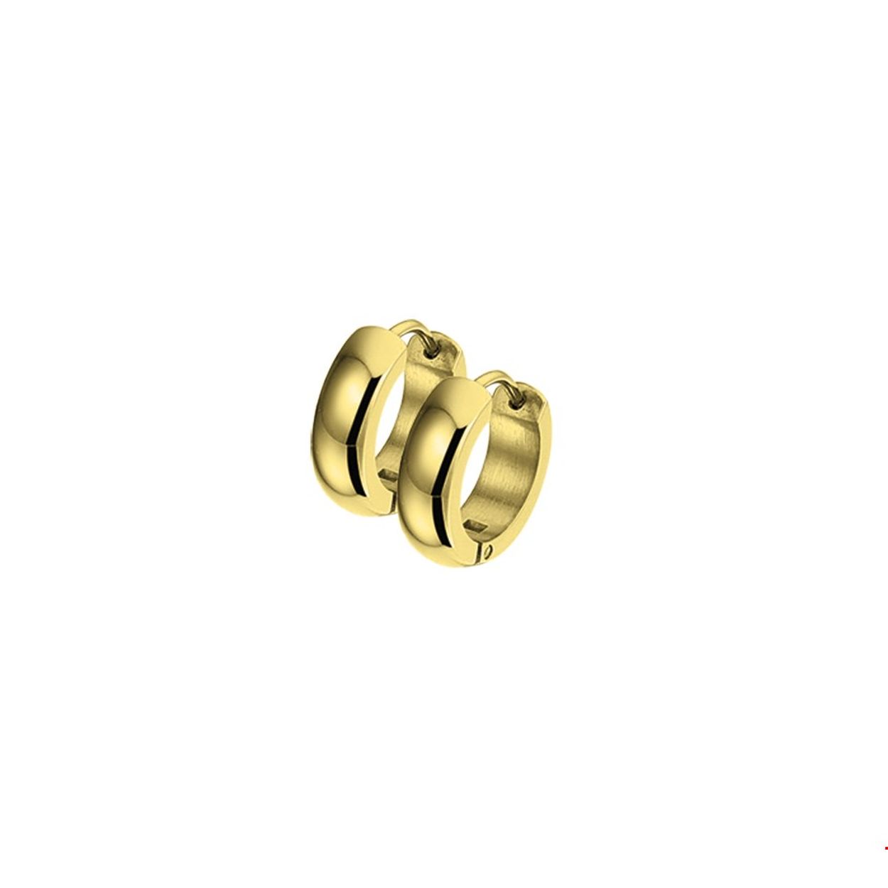 Beschrijving: Stalen klapcreolen met een poli afwerking. De creolen hebben een geelgouden PVD-plating. 
Verpakt per: 1
Doelgroep: dames
Breedte: 4 mm