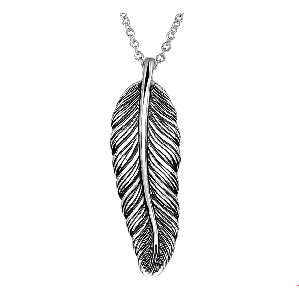 Edelstaal Collier met Veer
Breedte: 18.5 mm
Langste lengte: 60 mm
Hoogte: 57.5 mm