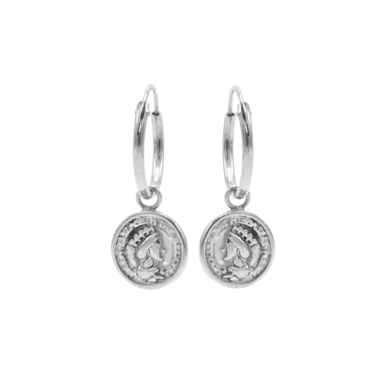 Hoops Symbols Coin 2 Silver
