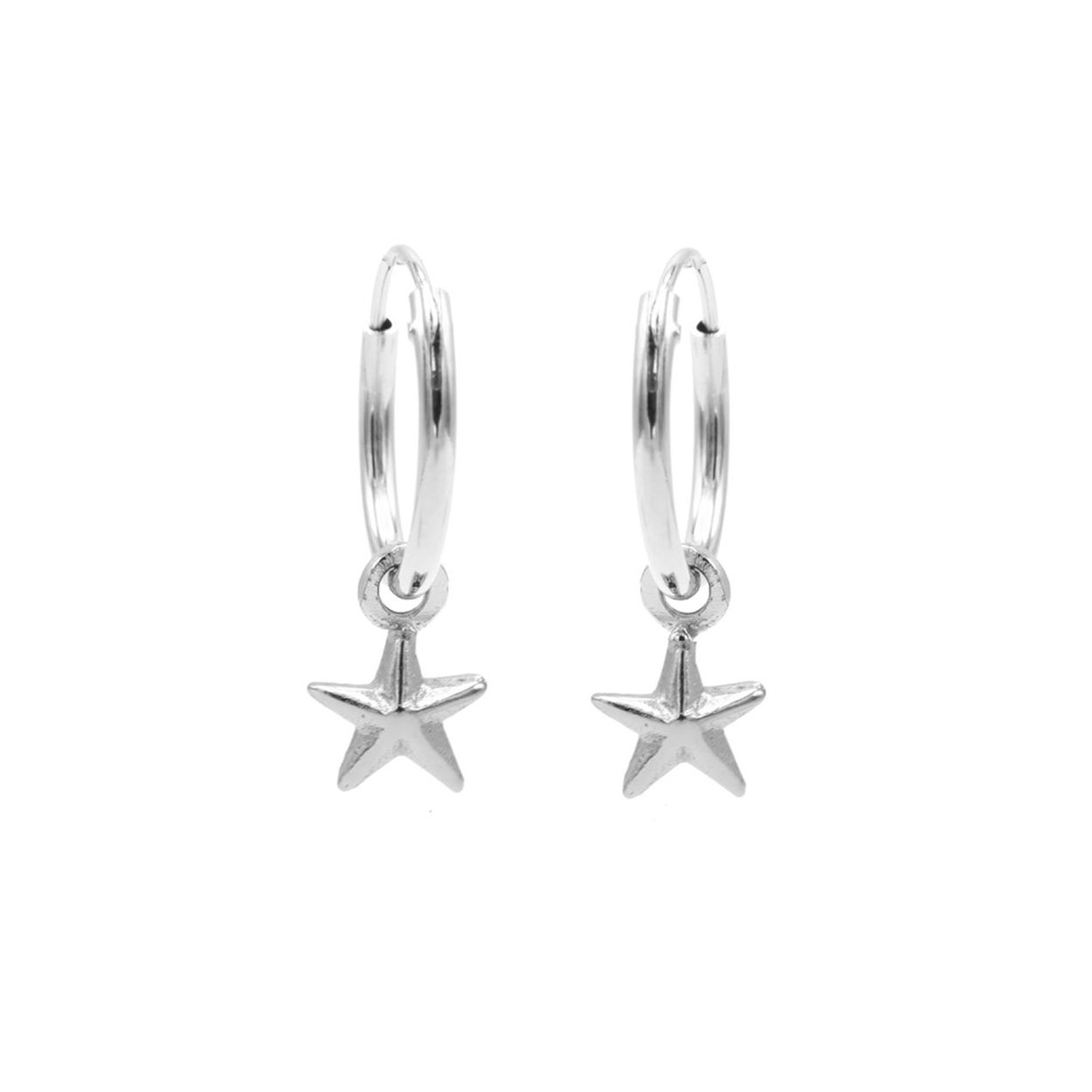 Oorhangers Symbols Polestar Zilver
