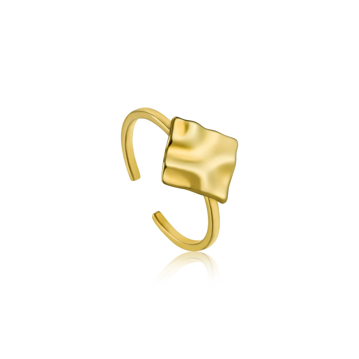 Ania Haie AH R017-02G Ring Zilver geelgoudverguld