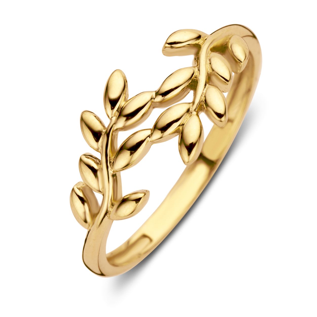 Ring geelgoud Maat 56