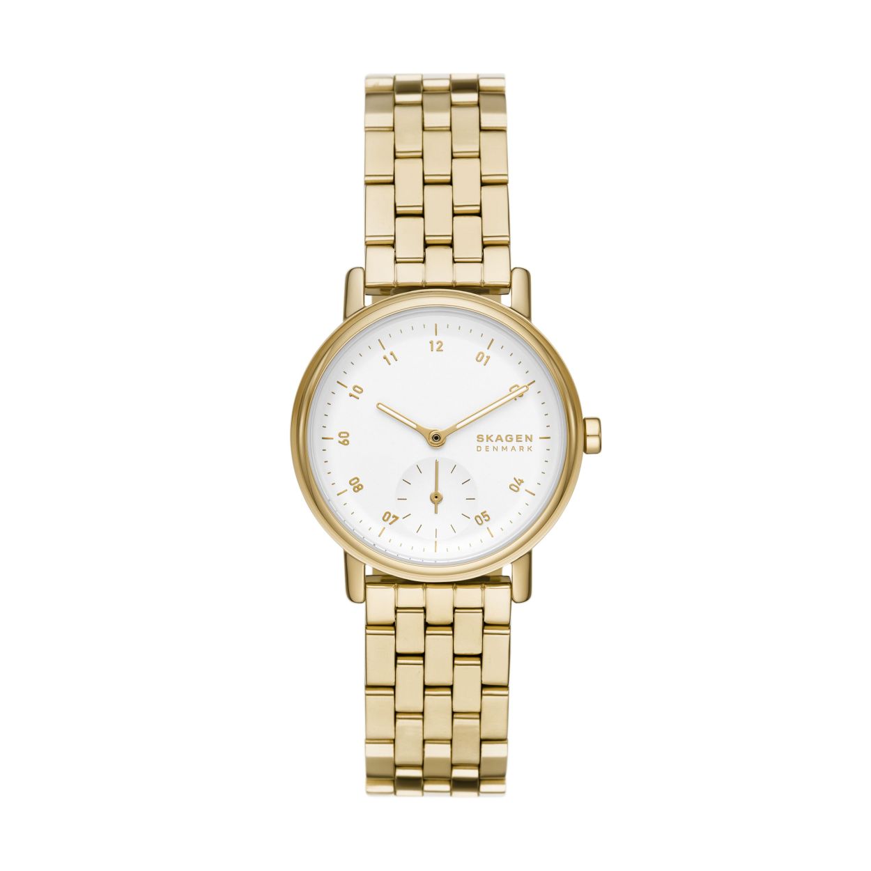 Skagen Watch skw3102
