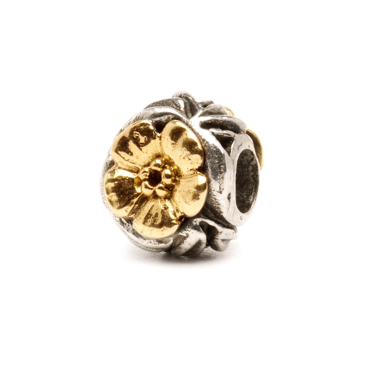 TAGBE-00110