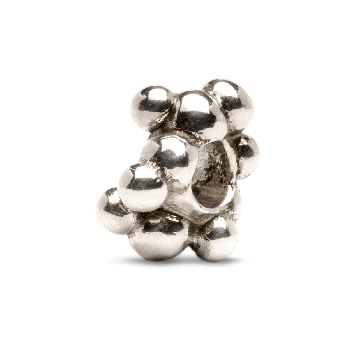 Deze zilveren trollbead illustreert de mogelijkheid, inherent aan de natuur, om ons verschillend te ontwikkelen, ondanks het feit dat wij voortkomen uit dezelfde bouwstenen - de cellen. TAGBE-10091
