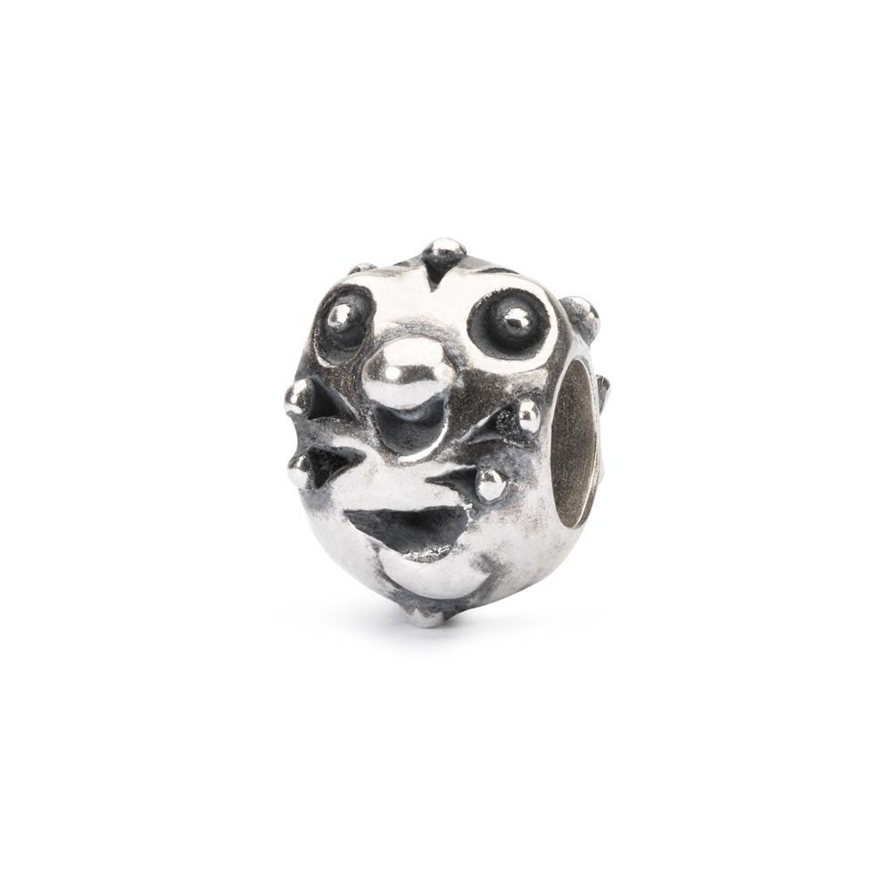 Prachtige sieraad van het merk Trollbeads