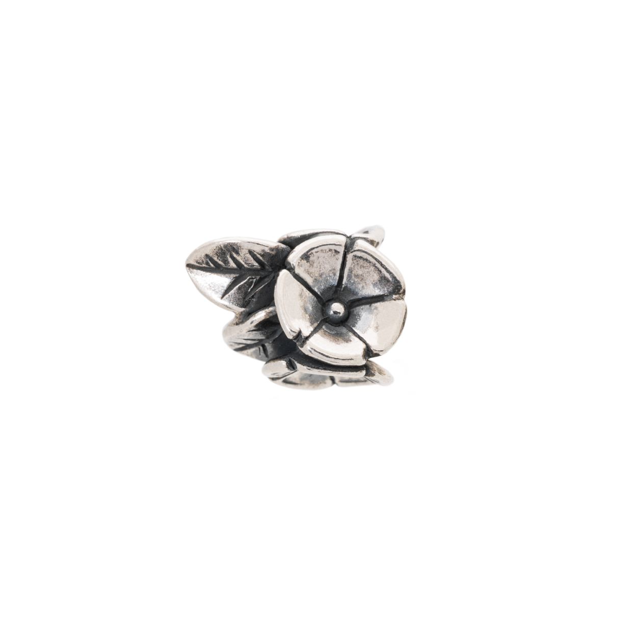 Bloemenweide: Laat de bloeiende weidebloemen je sieraden in het zonnetje zetten.