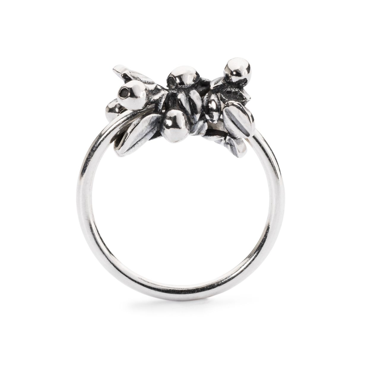 Als dauwdruppels verleiden deze bosbessen je met hun lichte, jeugdige levenslust.

Deze elegant dames Trollbeads TAGRI-00271 Blauwe bessen ring is vervaardigd uit zilver 925. De deels gematteerd, deels gepolijst afwerking en stralende zwarte kleur zorgt voor een unieke uitstraling.