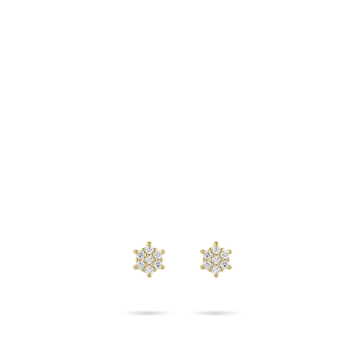 14k Gouden oorstekers met zirkonia's, gezet in een 'flowersetting.