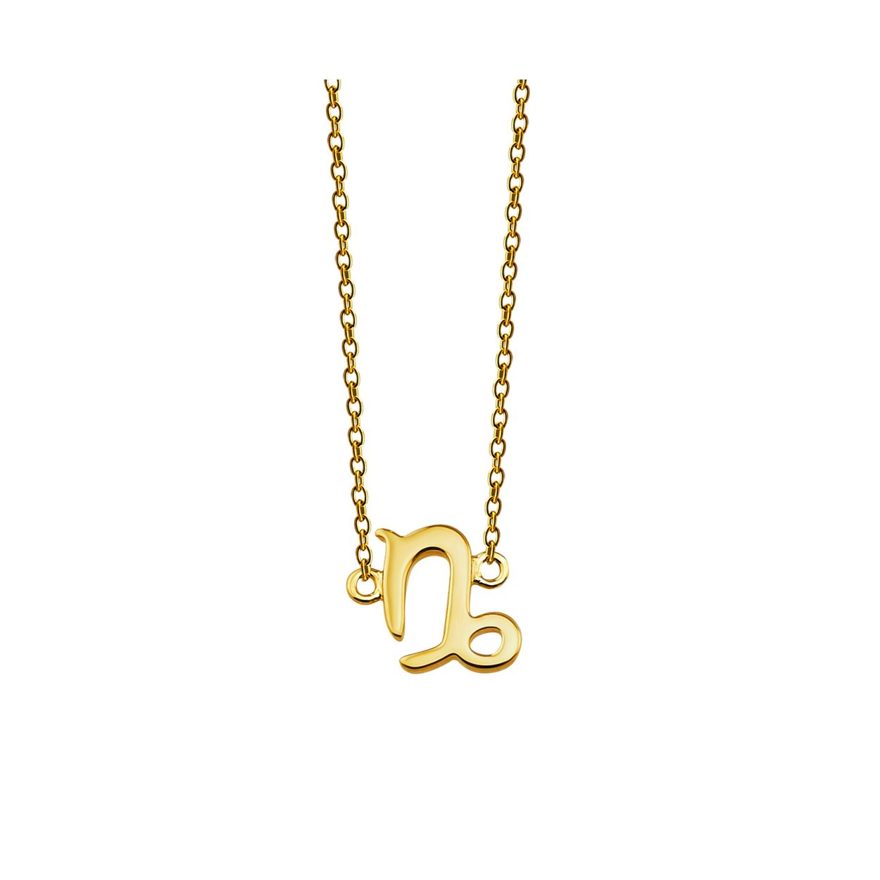Steenbok Ketting Gold-Plated ZN001G