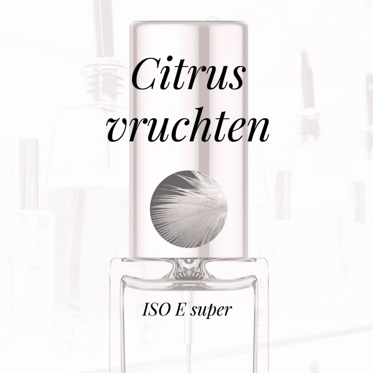 Eigenschappen
Geur: Citrusvruchten
Waarneembare geuren: ISO E super
Sillage: Midden
Seizoen: All season
Eigenschap: Comfort
Stijl: Casual
Geurgroep: Bloemig Houtachtig Musk
Hoofdakkoorden: Muskachtig, Citrusvruchten, Houtachtig, Amber, Poederig, Zacht kruidig
Parfum noten: Iris, Amalfi citroen, Roze peper en Iso E Super