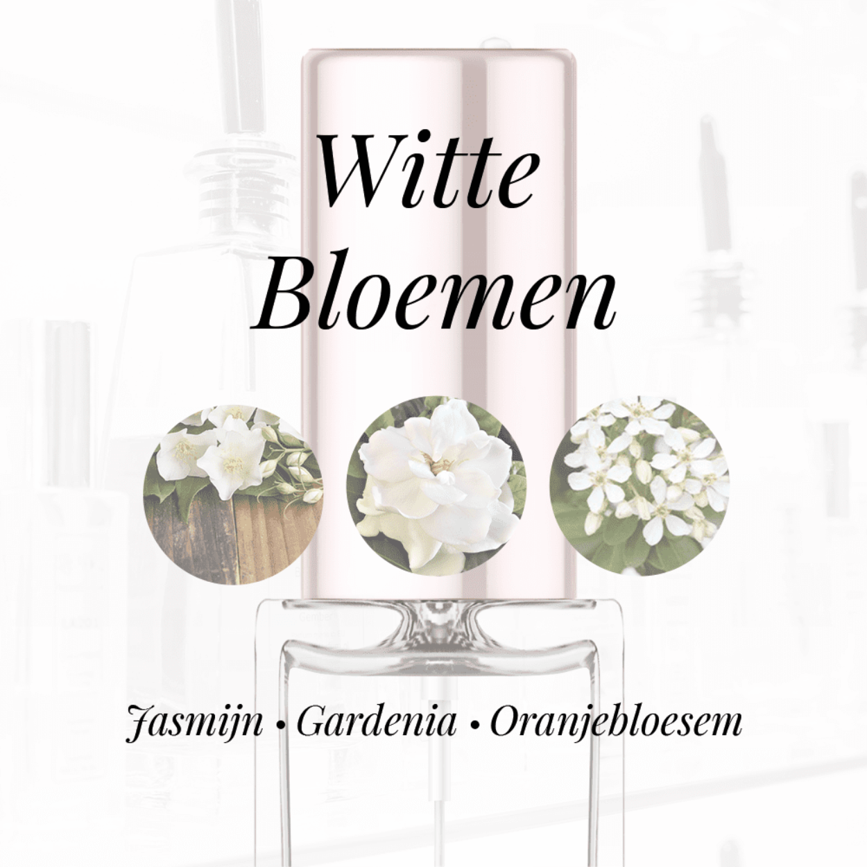 Eigenschappen
Geur: Witte bloemen
Waarneembare geuren: Gardenia, Jasmijn, Oranjebloesem
Sillage: Zwaar
Seizoen: Herfst/Winter
Eigenschap: Sexy
Stijl: Stoer
Geurgroep: Bloemige
Hoofdakkoorden: Witte bloemen, Citrusvruchten, Houtachtig, Dierlijk, Zoet
Top noten: Sinaasappel, Sicilische mandarijn, Bergamot en Jasmijn
Midden noten: Oranjebloesem en Gardenia
Basis noten: Sandelhout, Ceder en Witte amber
