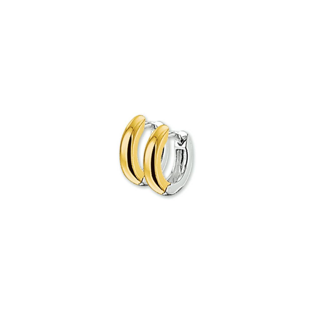 14k bicolor oorringen