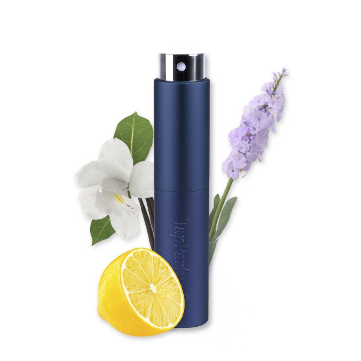 LE528 is een heren parfum die in de Oriëntaals Aromatisch categorie valt met het hoofdakkoord citrusvruchten. De duidelijkst waarneembare geurnoten zijn vanille, lavendel en citroen. Het sillage van dit heren parfum wordt omschreven als midden. 

De stijl die het beste de LE528 omschrijft is smart en de eigenschap van dit parfum kan het beste omschreven worden als spontaan.