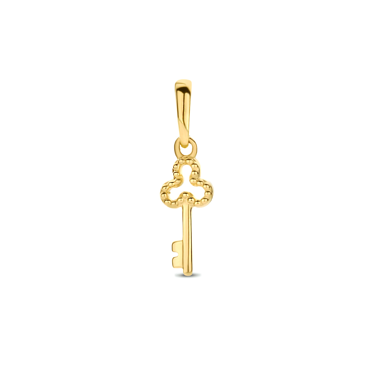 14k Geelgouden hanger in de vorm van een sleutel. De hanger heeft een totale hoogte van 1.7cm en de sleutel heeft een afmeting van 11.5x4.5mm.