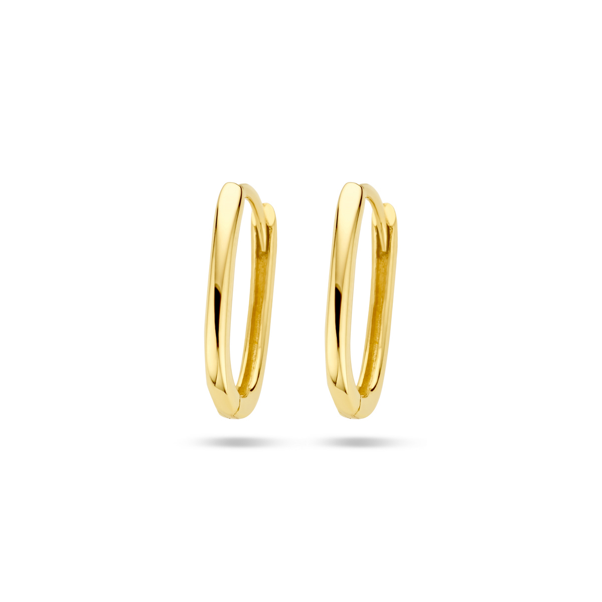 oorringen paperclip goud (geelgoud)
