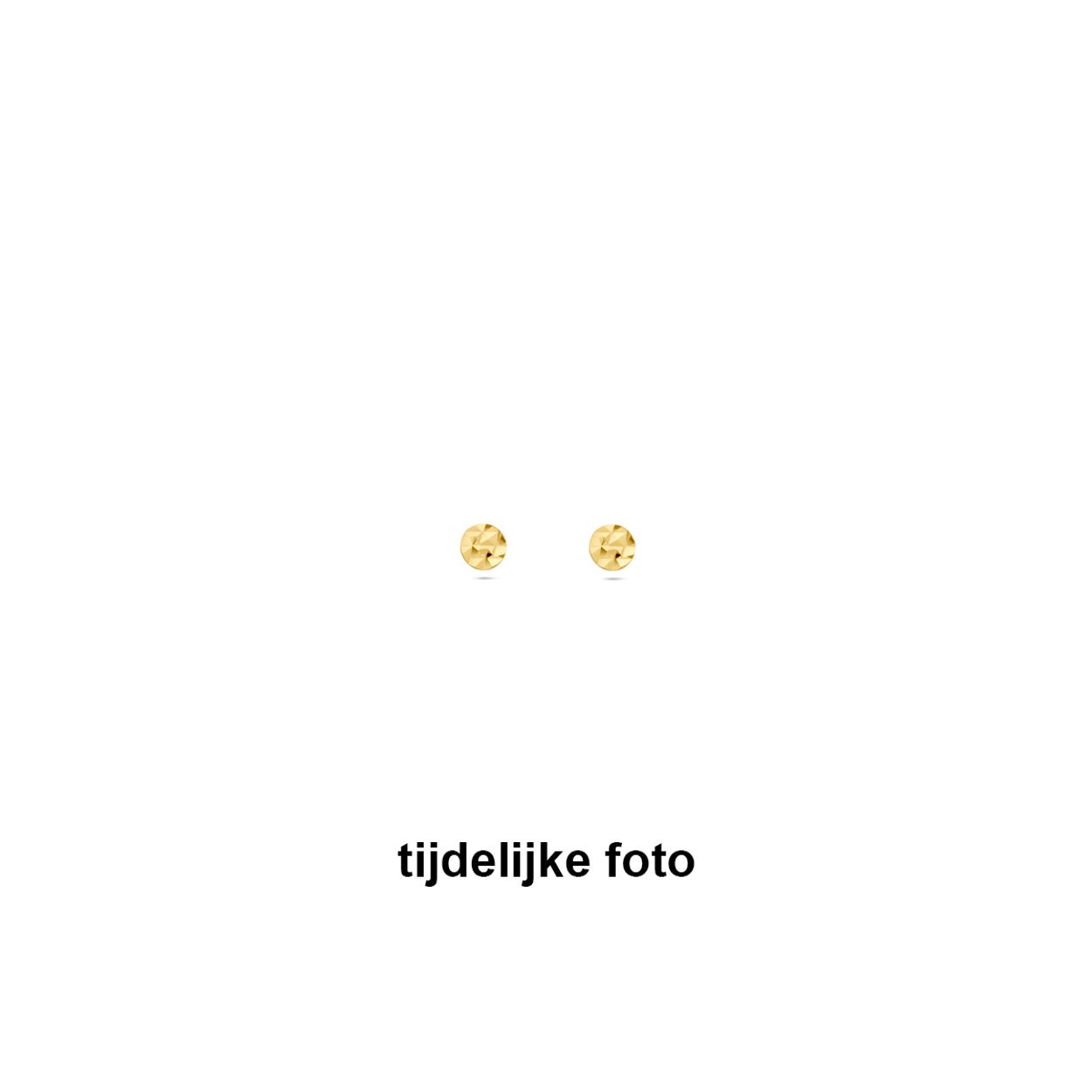 14k Geelgouden oorknoppen met een diameter van 4mm.