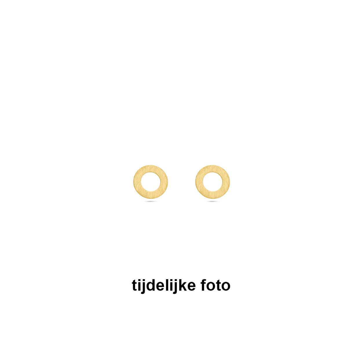 14k Geelgouden oorknoppen met een diameter van 10mm.