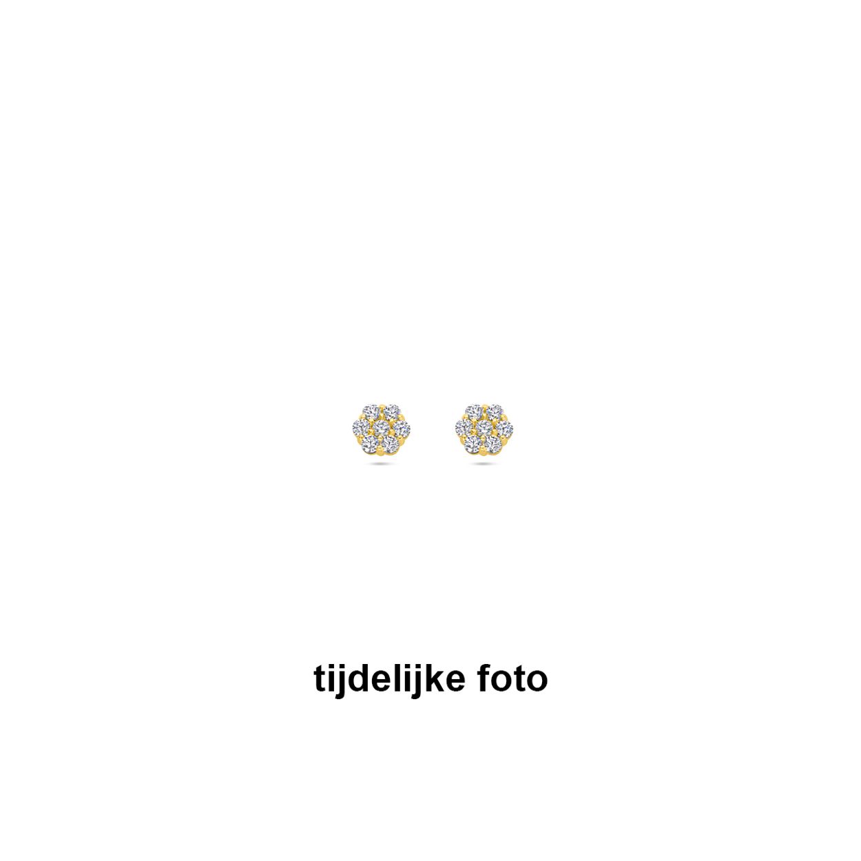 14k Geelgouden oorknoppen uitgevoerd in de vorm van een bloem met zirkonia. De oorknoppen hebben een afmeting van 5x5.5mm.