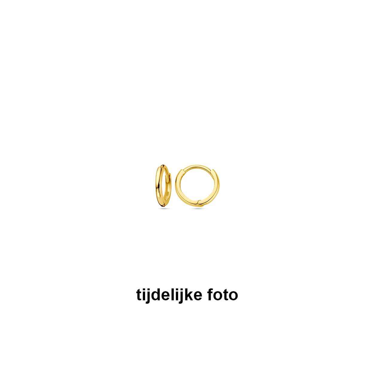 14k Geelgouden klapoorringen met een afmeting van 9.5x1.5mm.