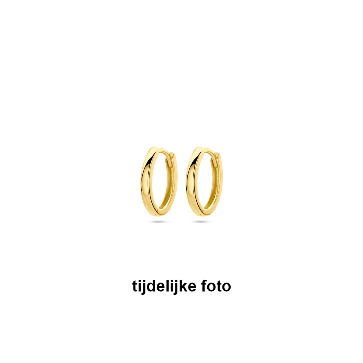 14k Geelgouden klapoorringen met een afmeting van 13.5x2mm.