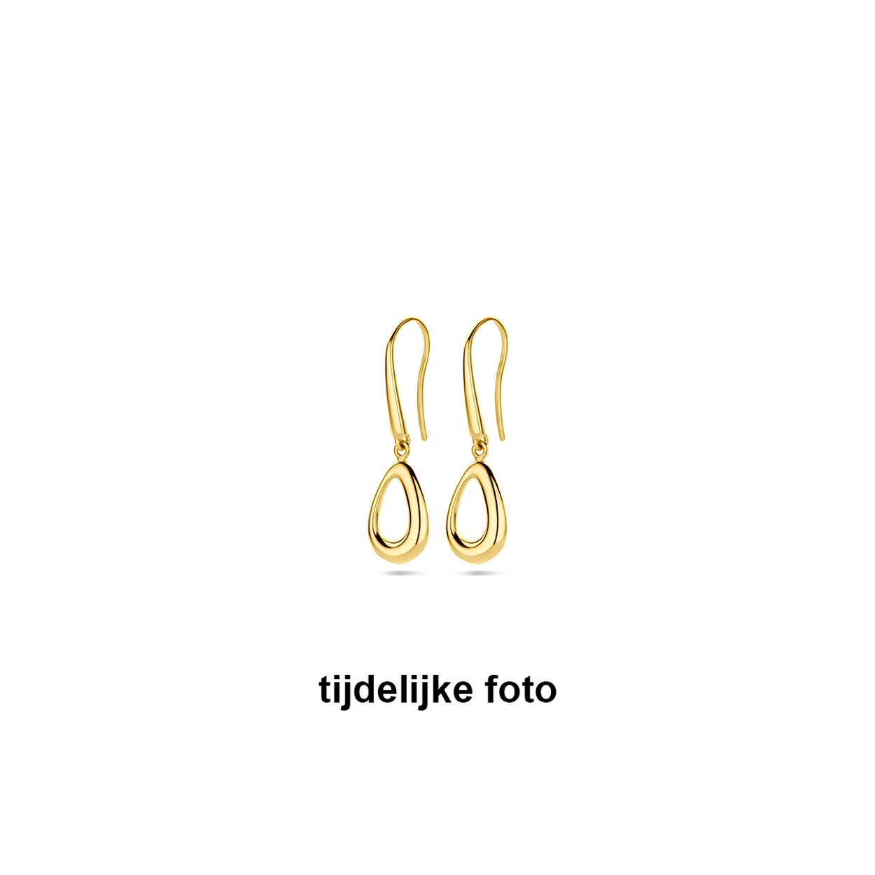 14k Geelgouden oorhangers met een totale hoogte van 30mm.