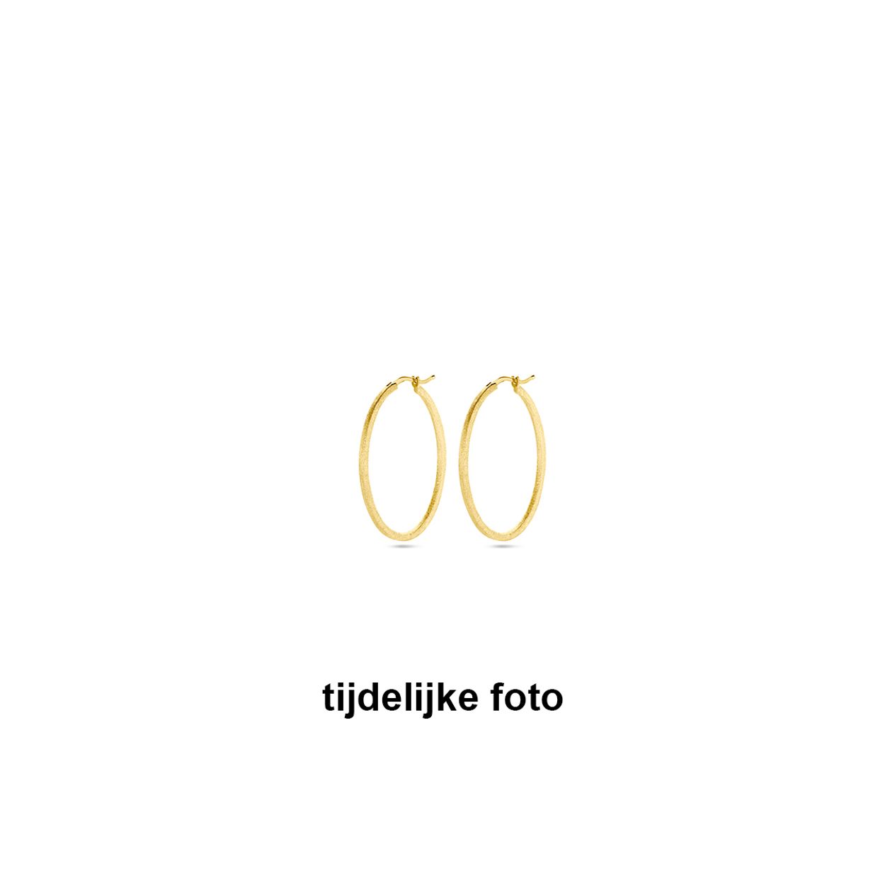 14k Geelgouden oorringen met een afmeting van 36.5x1.8mm.