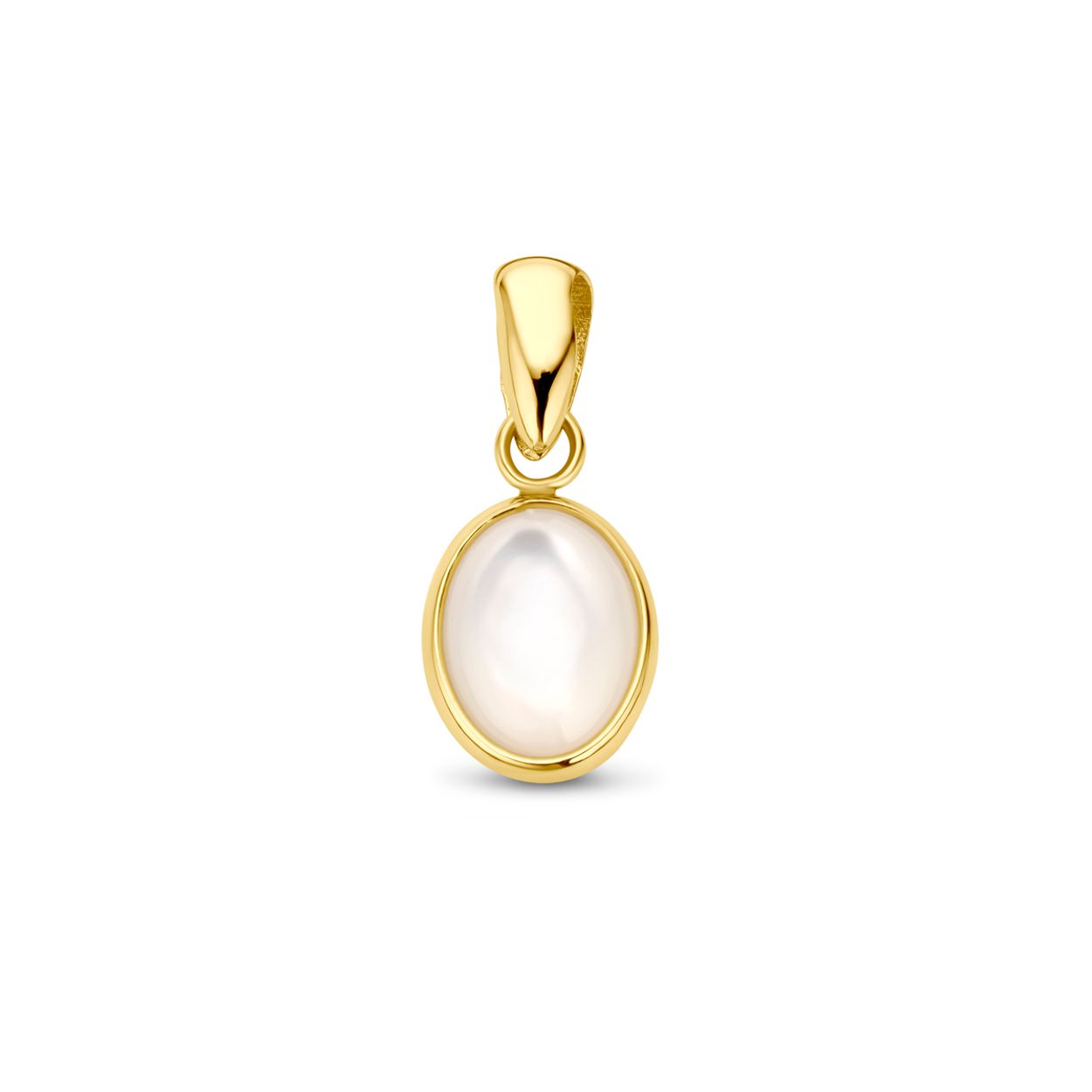 14k Geelgouden hanger uitgevoerd met parelmoer. De hanger heeft een totale hoogte van 16mm.