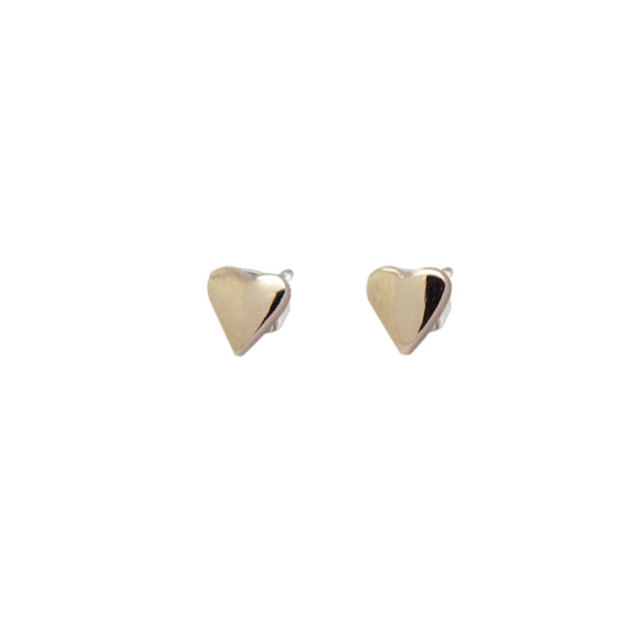 Kleur	Zilverkleurig
Productgroep	Oorsieraden
Sieraden materiaal	Titanium
Soort bewerking	Gepolijst
Detail Vorm	Hart