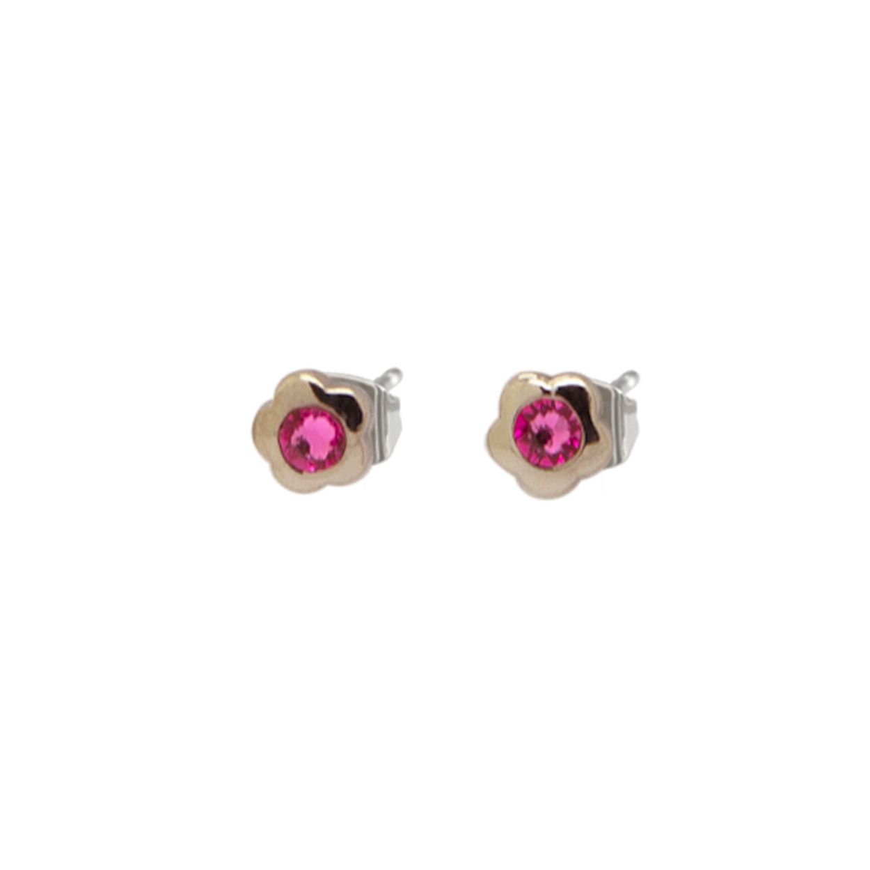 
Doelgroep	Kids
Steensoort	Kristal
Kleur	Zilverkleurig
Productgroep	Oorsieraden
Sieraden materiaal	Titanium
Soort bewerking	Gepolijst
Steenkleur	Roze
Detail Vorm	Bloem
