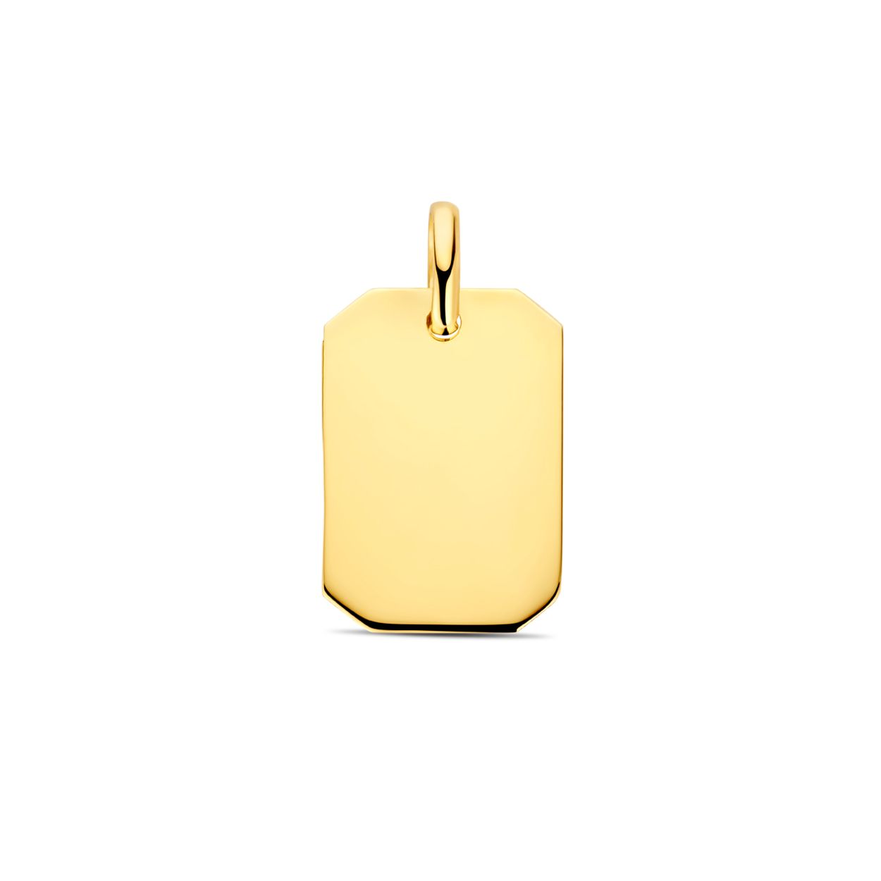 14k Geelgouden graveerhanger met een totale hoogte van 20mm.