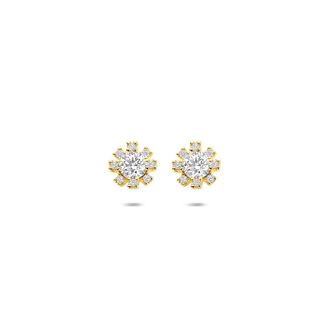 Oorknoppen rozet zirkonia 6 mm
