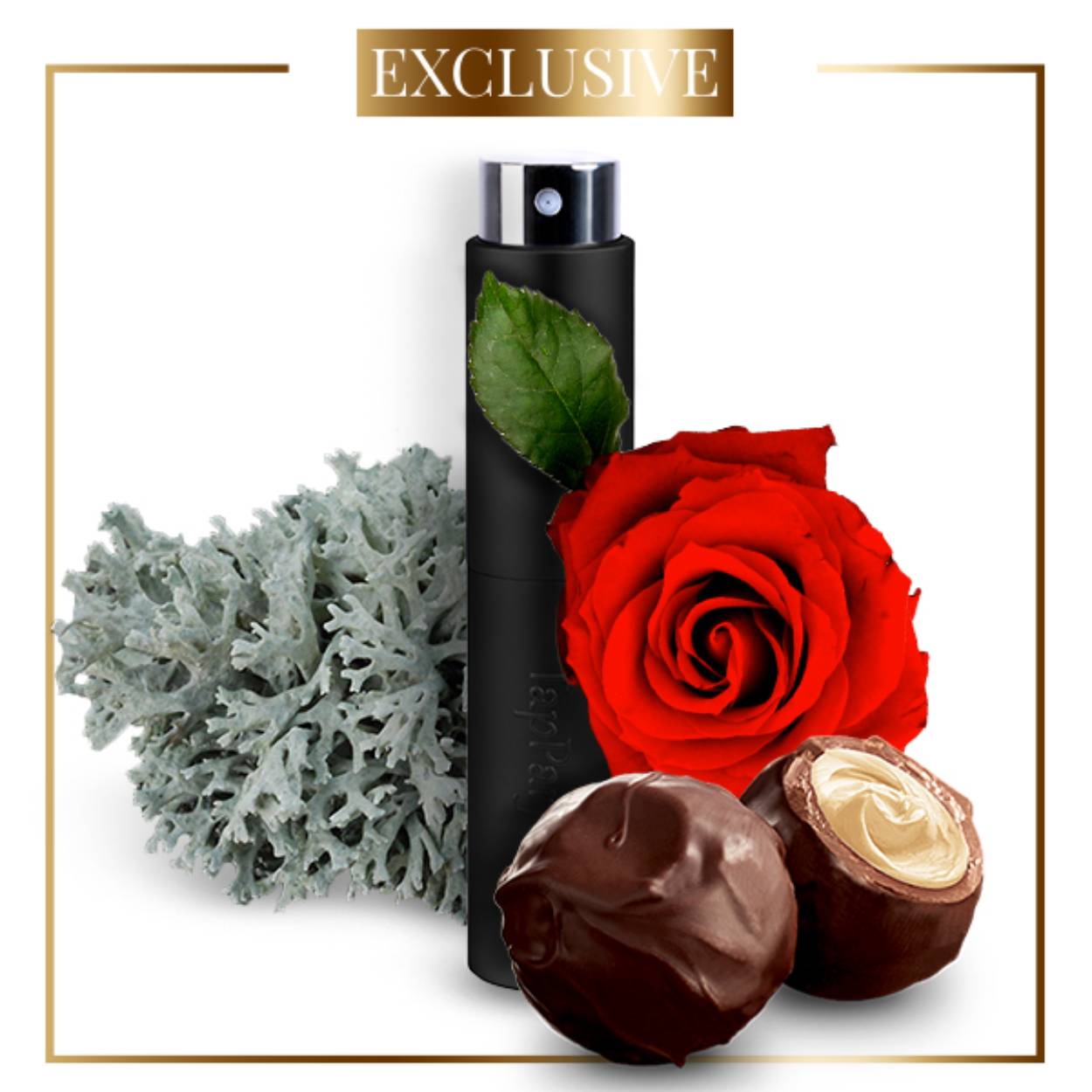 TN032 is een exclusive parfum,unisex parfum die in de Amber Vanille categorie valt met het hoofdakkoord zoet. De duidelijkst waarneembare geurnoten zijn praliné vulling, eikenmos en roos. Het sillage van dit exclusive parfum,unisex parfum wordt omschreven als zwaar. 

De stijl die het beste de TN032 omschrijft is elegant en de eigenschap van dit parfum kan het beste omschreven worden als charmant.
Productbeschrijving

De parfum van Tapparfum worden gemaakt met de hoogste kwaliteit geuroliën. De geuren zijn (net als designer parfums) gemaakt van deels synthetische oliën en deels natuurlijke oliën. De parfum bevat tussen de 20% en 40% bestandsdelen (geurolie). De resterende 60% tot 80% is hoogwaardige kleur- en geurloze alcohol. Deze gradatie maakt het dat onze parfums gecategoriseerd worden als PARFUM.

De topnoten blijven ongeveer 15 minuten duidelijk aanwezig, daarna zullen de midden noten zich verder manifesteren. Na ongeveer 4 a 5 uur komen de basisnoten van dit parfum duidelijker naar voren.

De volgende akkoorden zul je duidelijk ruiken in dit parfum zoet, mos, amber, roos, houtachtig.

De gehele olfactorische pyramide, het sillage die gegradeerd is als zwaar, en de duidelijkst waarneembare geurnoten praliné vulling, eikenmos, roos, maken dit een parfum die perfect is voor herfst, winter.