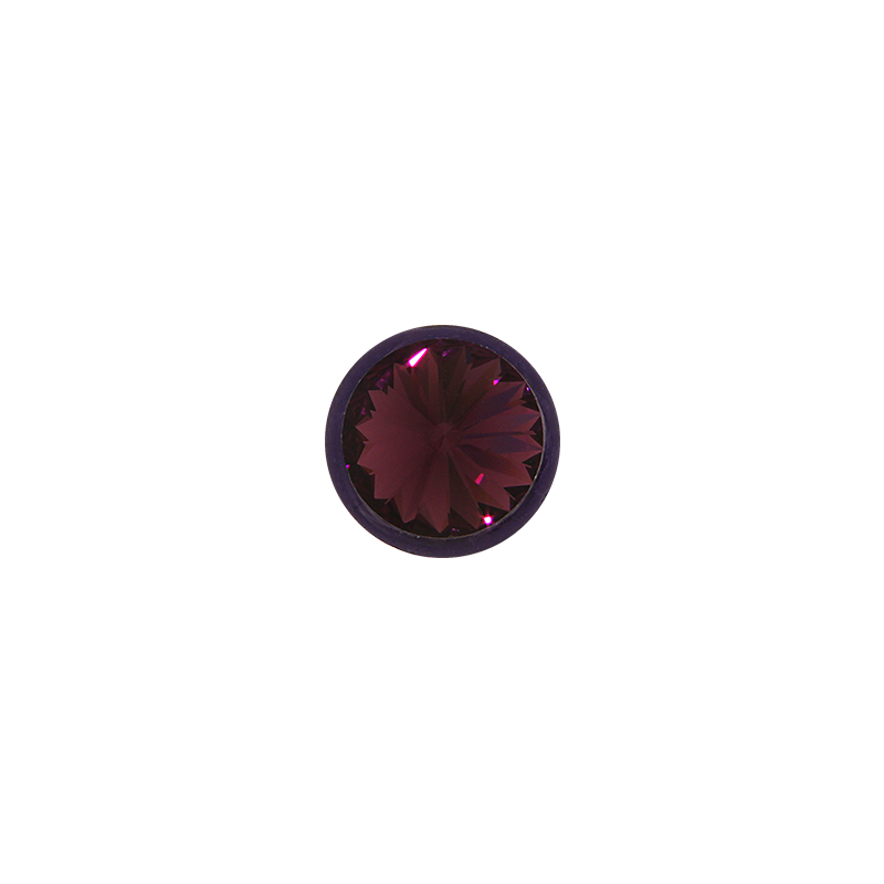 My iMenso insigne “ amethyst” 14-1019
Geschikt voor het medaillon van 14 mm.