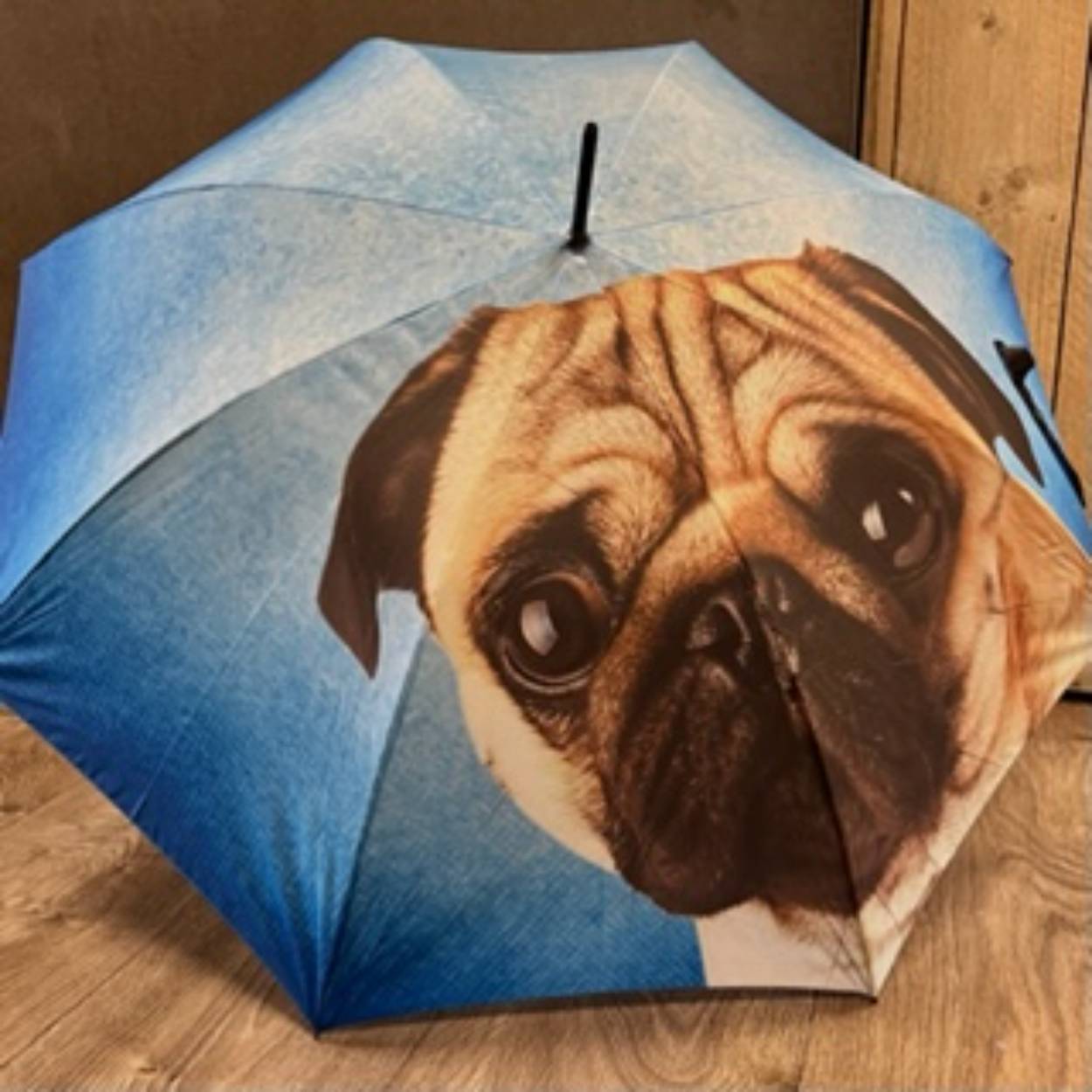 Goede paraplu met hond.