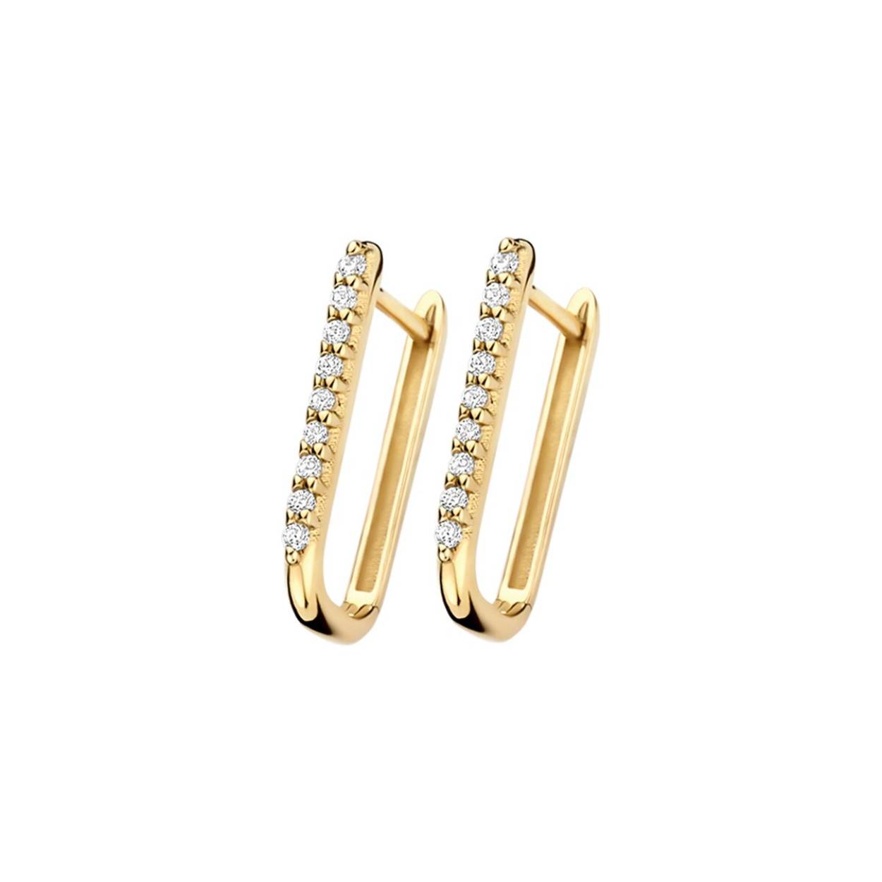 Blush Oorringen 7381YZI 