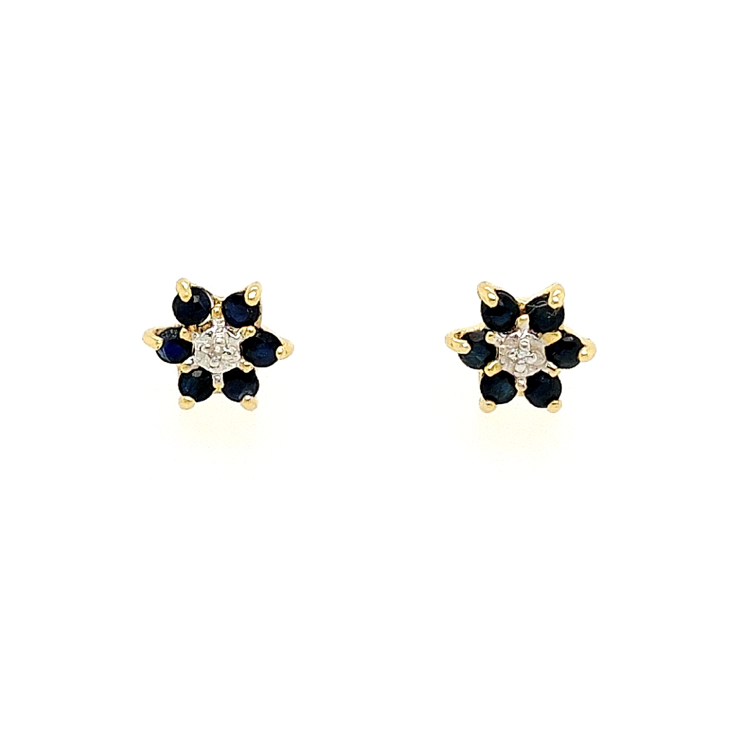 Deze geel gouden oorstekers zijn ontzettend leuk! De oorstekers hebben de vorm van een bloem en de saffiertjes zorgen ervoor dat deze bloem prachtig gekleurd is. Het diamantje in het midden maakt iedere oorsteker nog mooier.

Oorstekers GOBS116WRSM zijn een setje met hanger GHABS056WRSM en ring GRBS115WRSM.