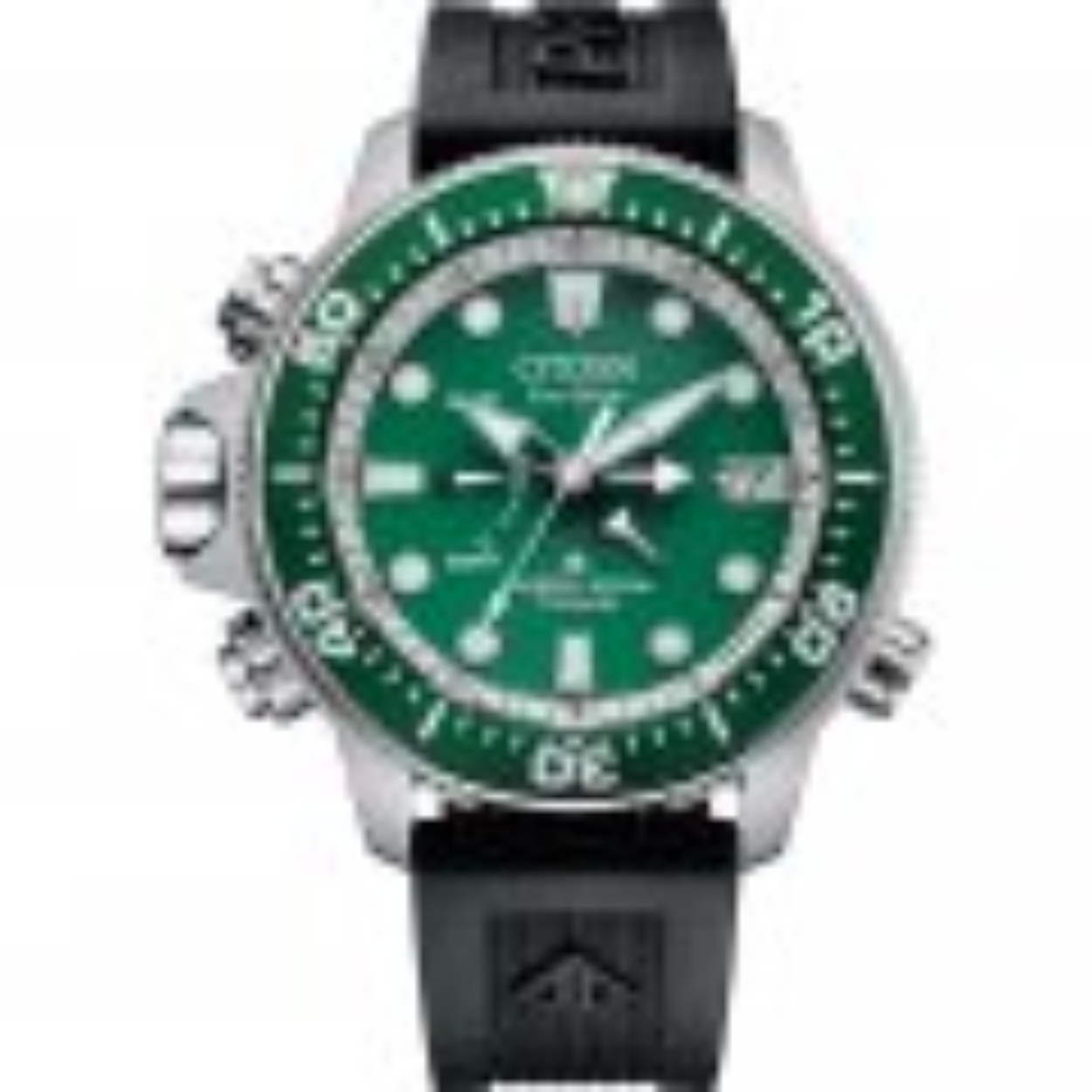 Promaster Diver