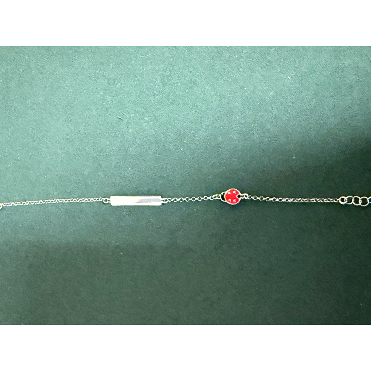 zilv grpl ab 15+3cm  en lieverh beestje