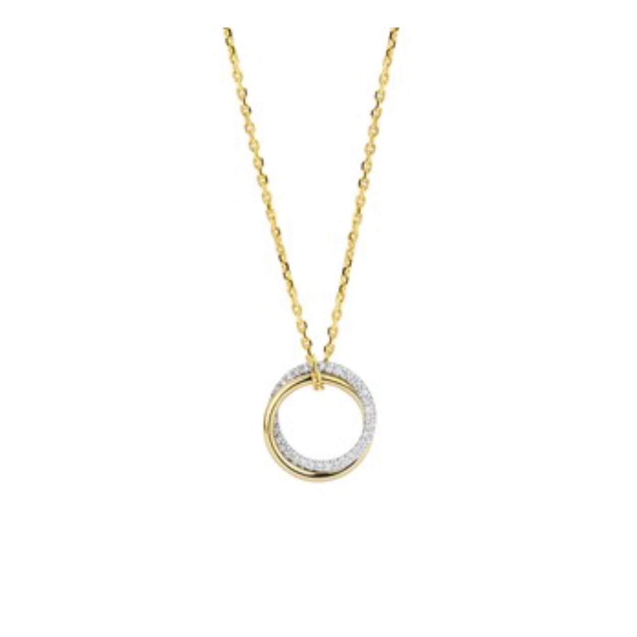 bicolor gouden hanger 2 ringen in elkaar. witgouden gedeelte met diamant