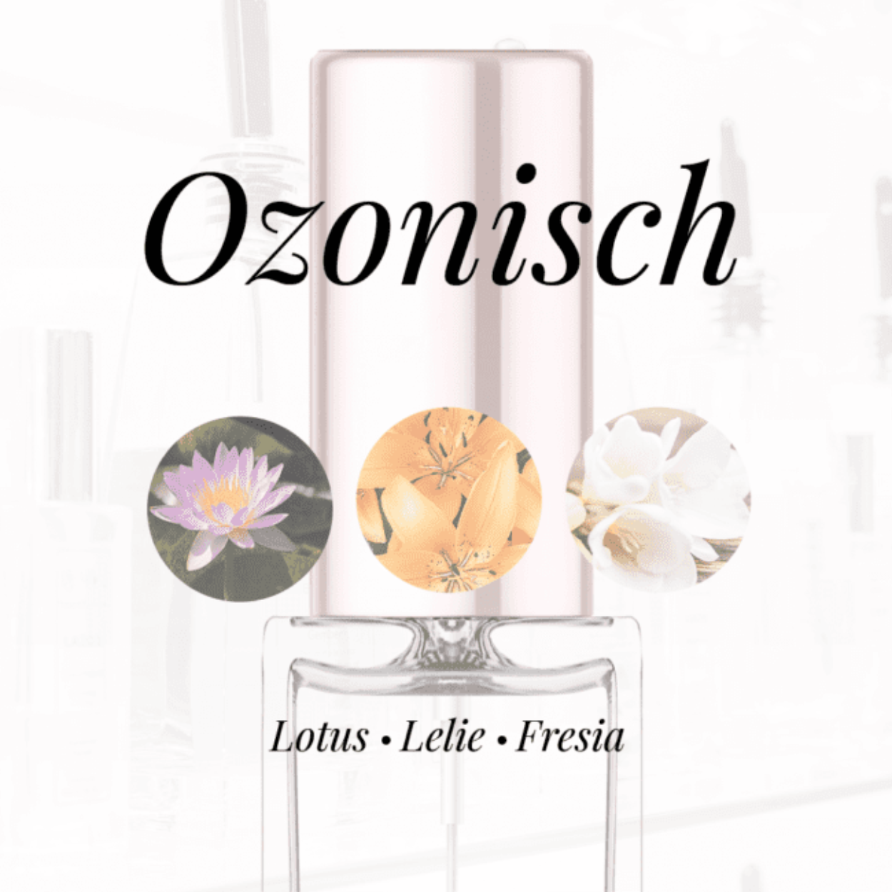 Eigenschappen
Geur: Ozonisch
Waarneembare geuren: Fresia, Lelie, Lotus
Sillage: Midden
Seizoen: Lente/Zomer
Eigenschap: Uniek
Stijl: Klassiek
Geurgroep: Bloemig Aquatische
Hoofdakkoorden: Bloemig, Aquatisch, Ozonisch, Witte bloemen, Houtachtig
Top noten: Lotus, Fresia, Roos en Calone
Midden noten: Schijnhulst en Lelie
Basis noten: Sandelhout, Ceder uit Virginia en Muskus Ambrette