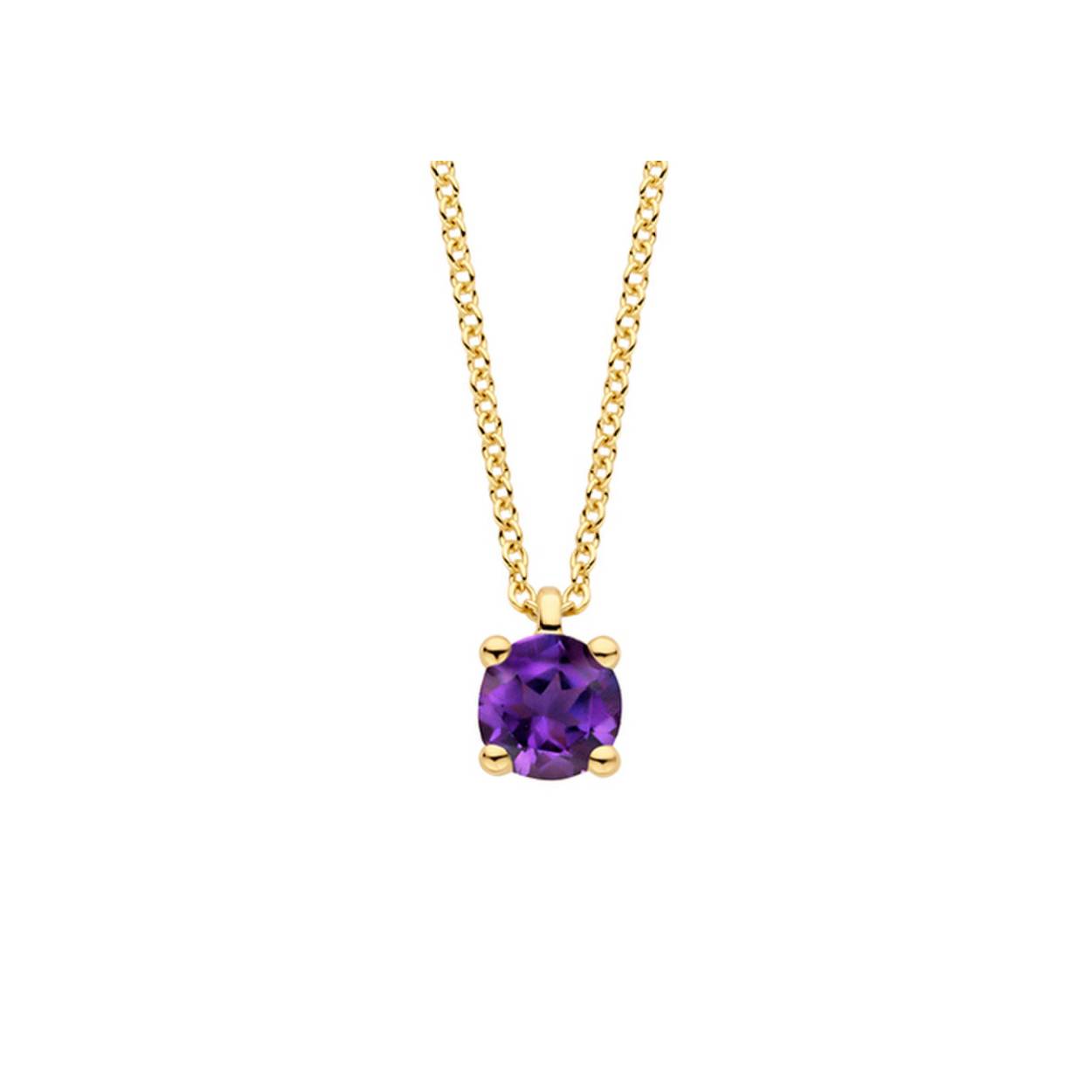 Blush collier amethist 3200YAM is een elegante ketting van 14 karaat geelgoud met een prachtige amethist. Met een lengte van 42 Cm valt de ketting subtiel om de hals. Perfect te dragen bij zowel formele als casual gelegenheden, voegt het een verfijnde touch toe aan elke outfit. 