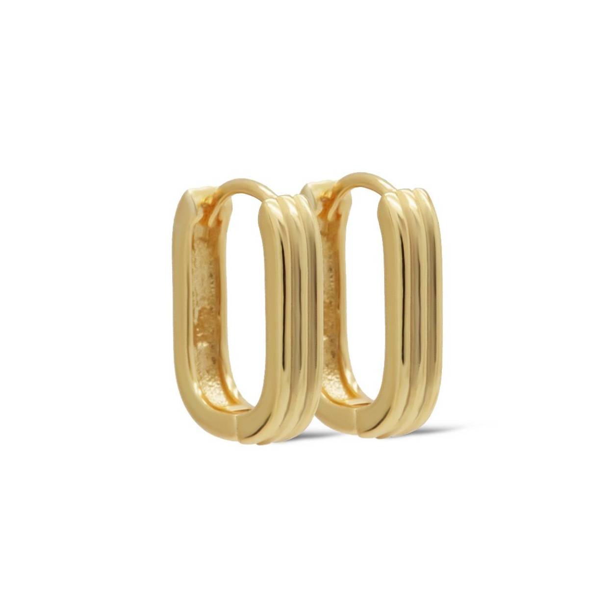 H491GP Karma oorringen | zilver verguld