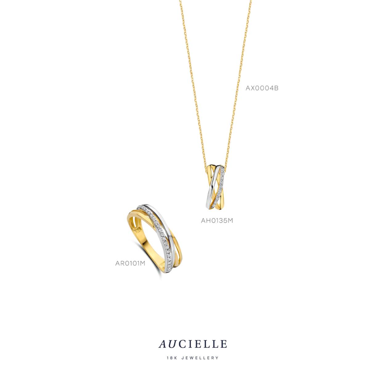 Aucielle hanger goud 18k bicolor met zirkonia steentjes