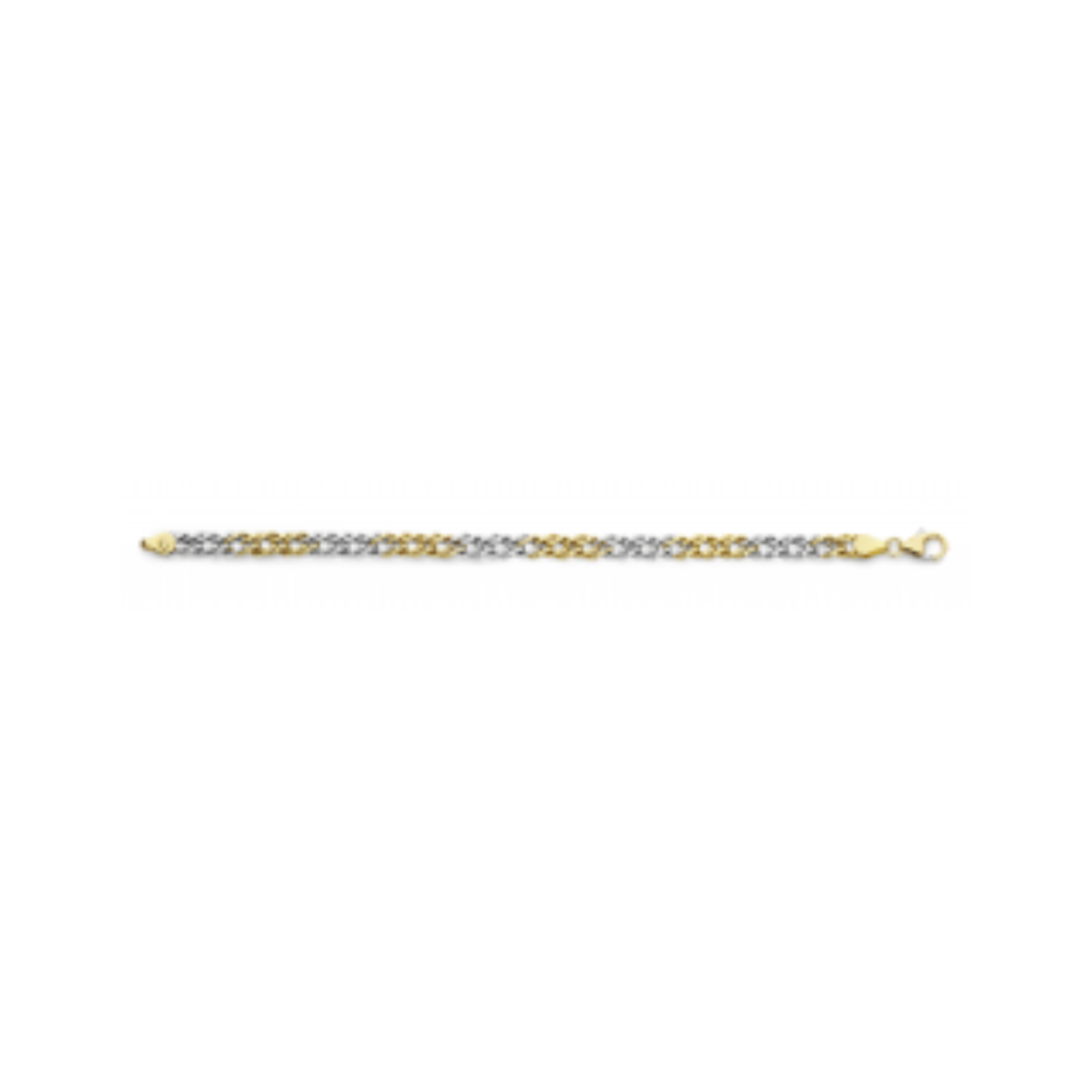 41-FRS0521 Fjory armband goud zilver kern
