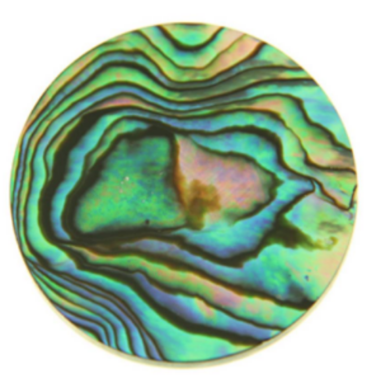 MY iMenso "flat abalone" 33mm insignia