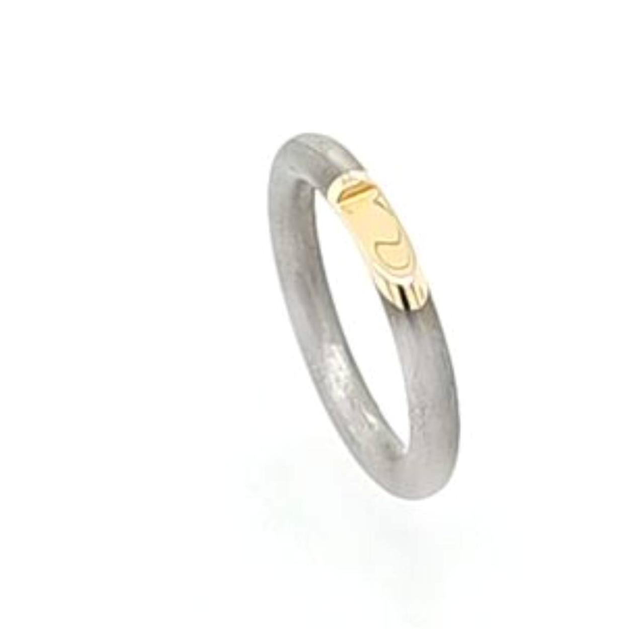 titanium ring met gouden hoekje